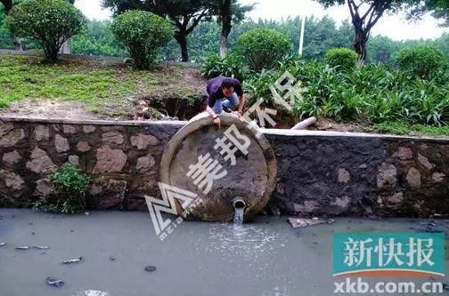 1556959358893110.jpg 图片3.jpg