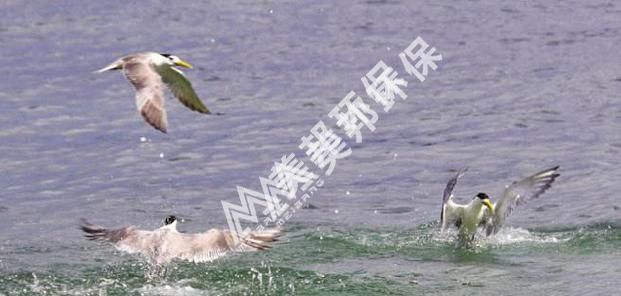 1556959637769098.jpg 图片8.jpg